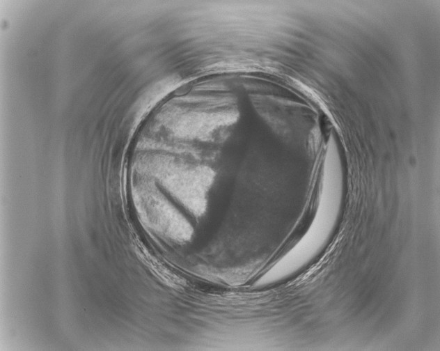 X0000059071179200510281650