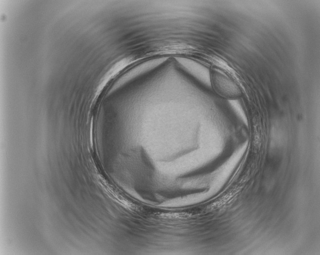 X0000059071227200510281649