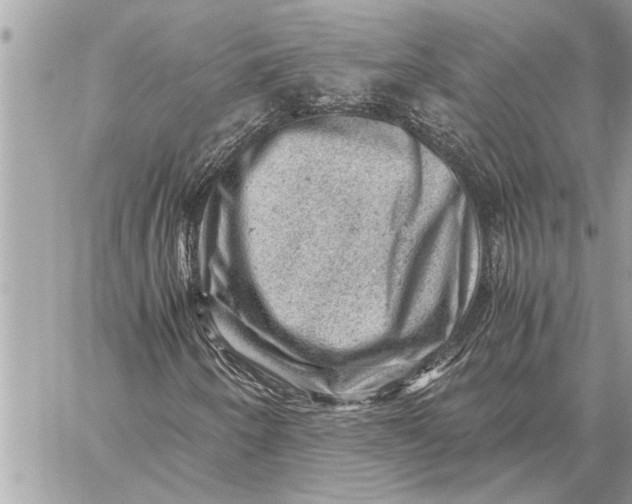 X0000059071250200510281649