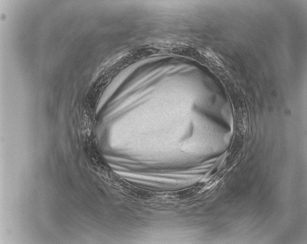 X0000059071253200510281649
