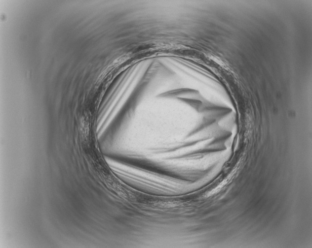 X0000059071257200510281649