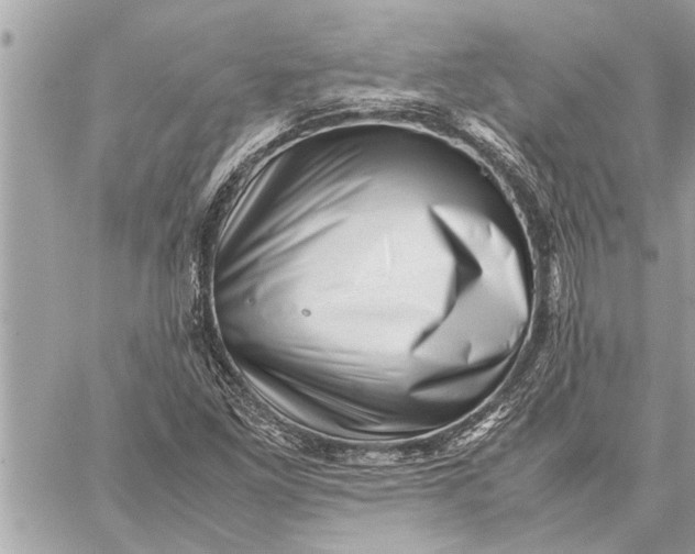 X0000059071261200510281649