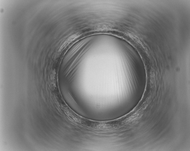 X0000059071265200510281649