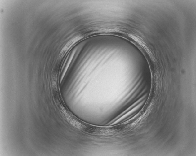 X0000059071273200510281649