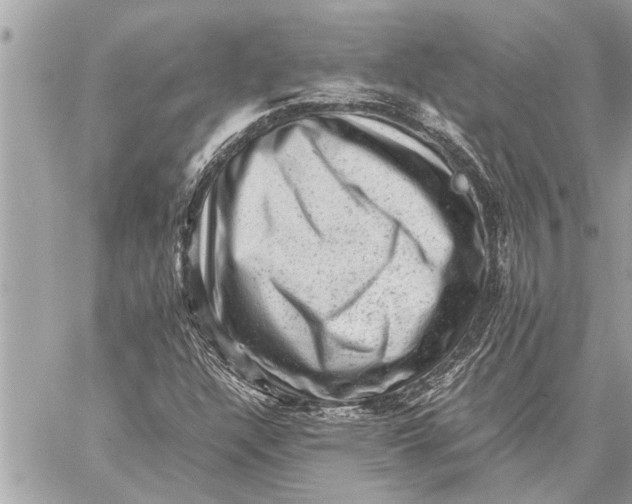 X0000059071304200510281647