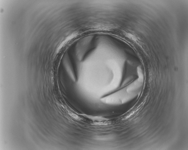 X0000059071307200510281648