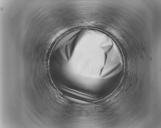 X0000059071308200510281648