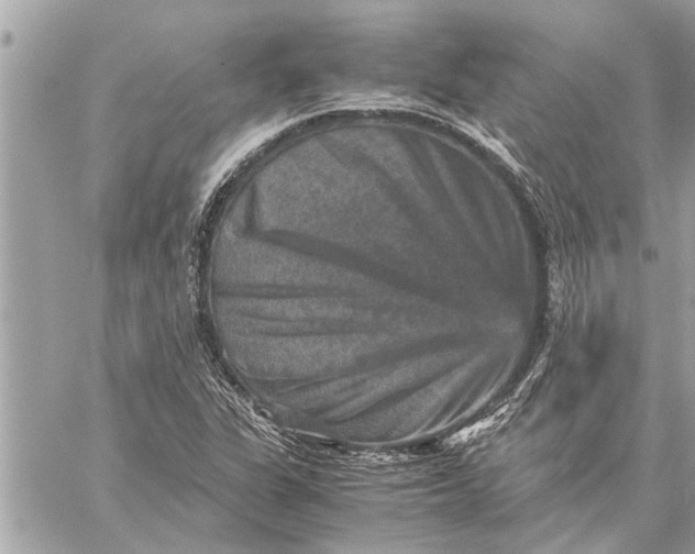 X0000059071311200510281648