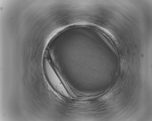 X0000059071327200510281648