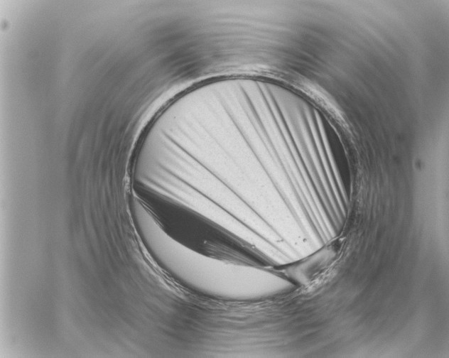 X0000059071332200510281648