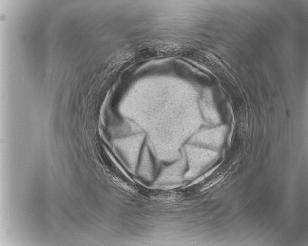 X0000059071345200510281647