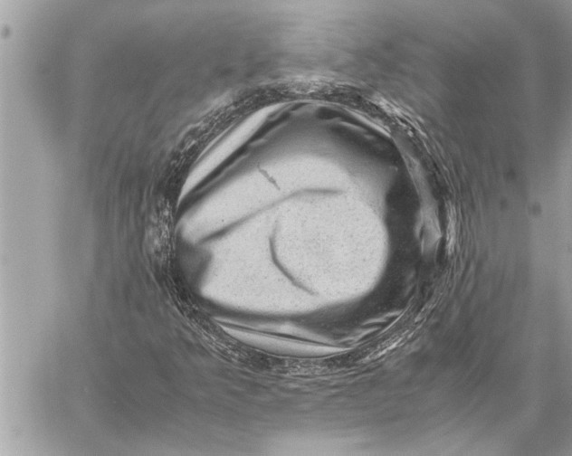 X0000059071349200510281647