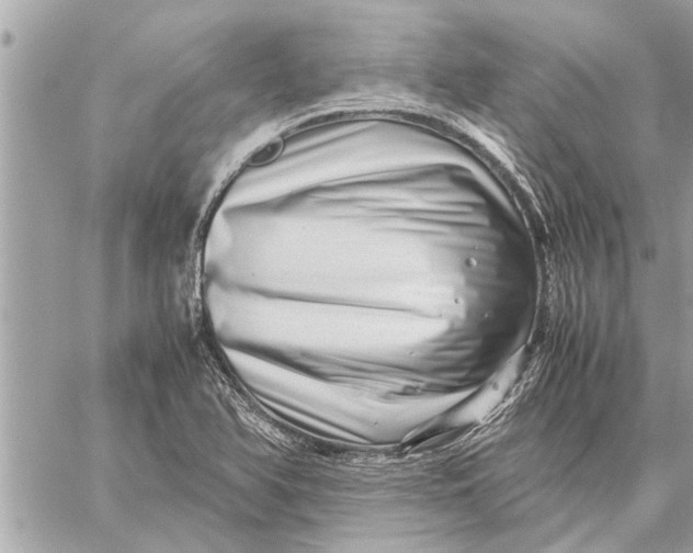 X0000059071366200510281647