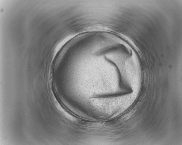 X0000059071387200510281647