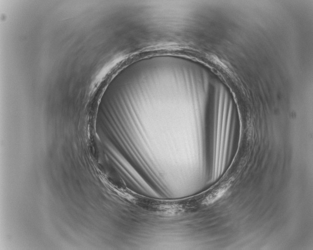 X0000059071406200510281646