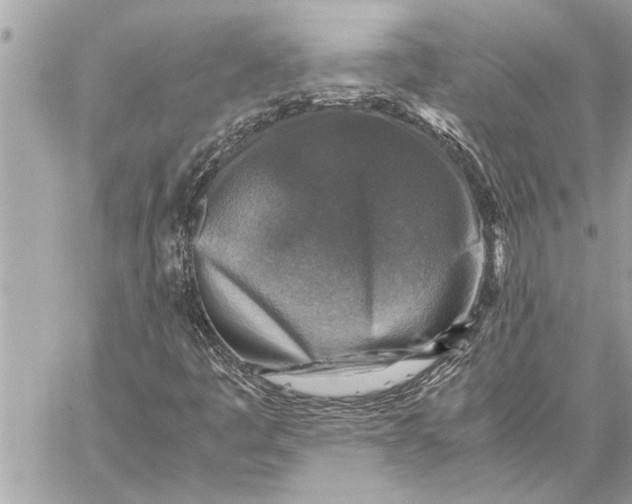 X0000059071445200510281646