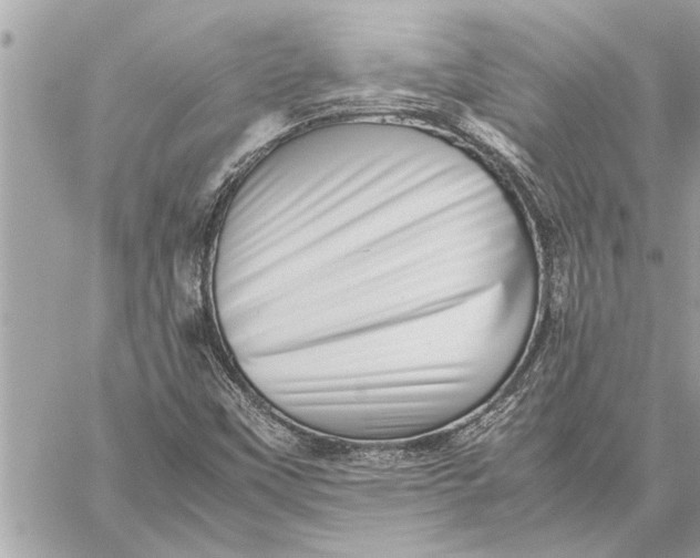 X0000059071451200510281646