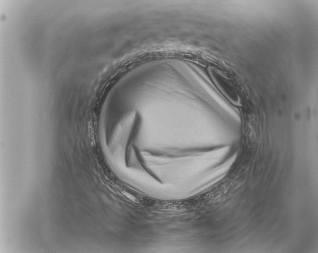 X0000059071493200510281644
