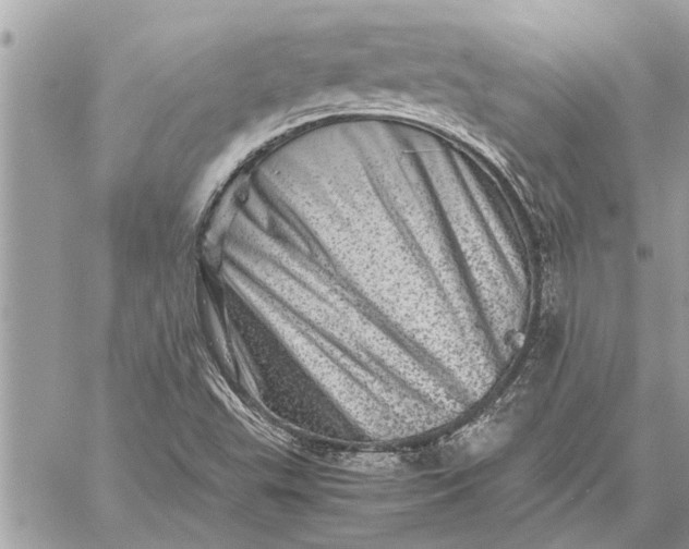 X0000059071503200510281644