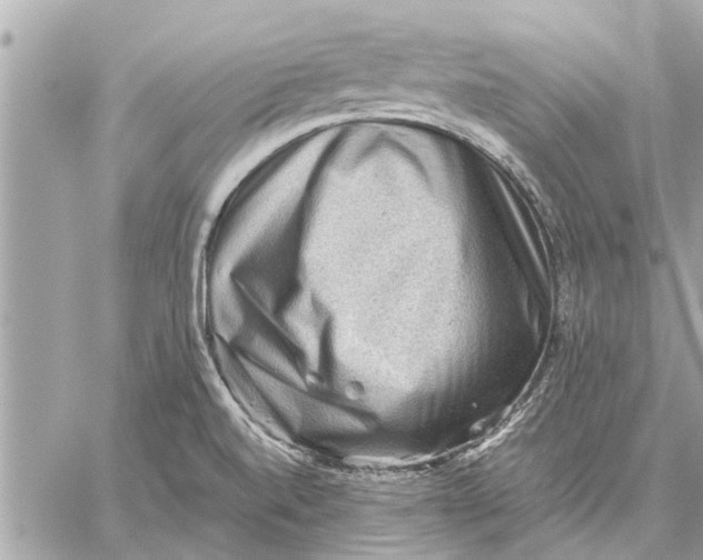X0000059071520200510281645