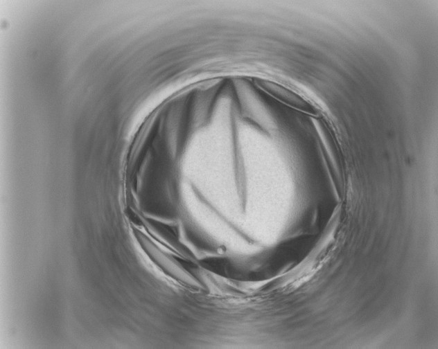 X0000059071528200510281645