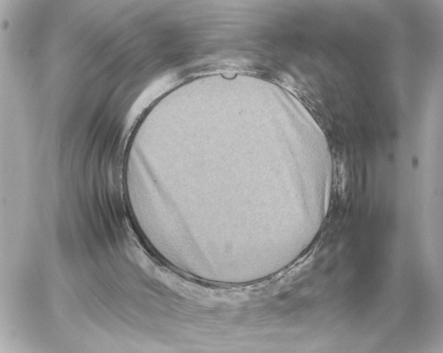 X0000059070004200511041807