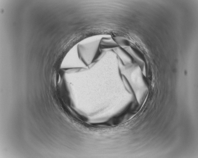 X0000059070021200511041806