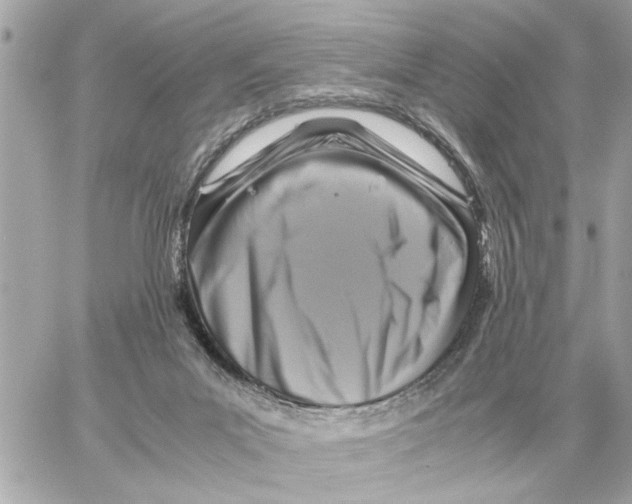 X0000059070023200511041806