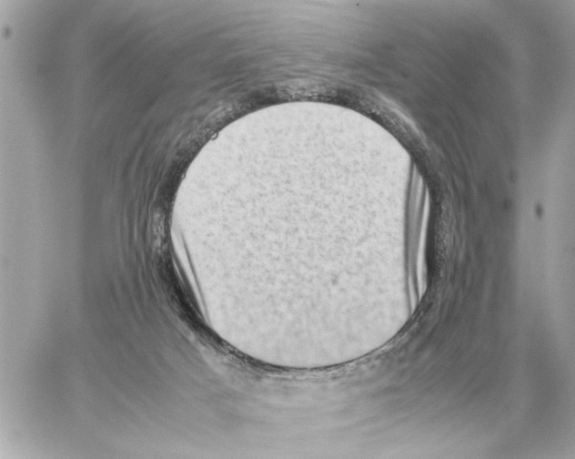 X0000059070025200511041806