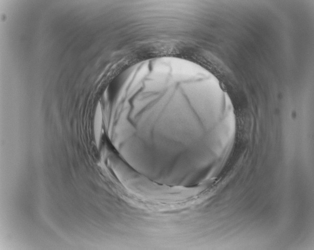 X0000059070035200511041806
