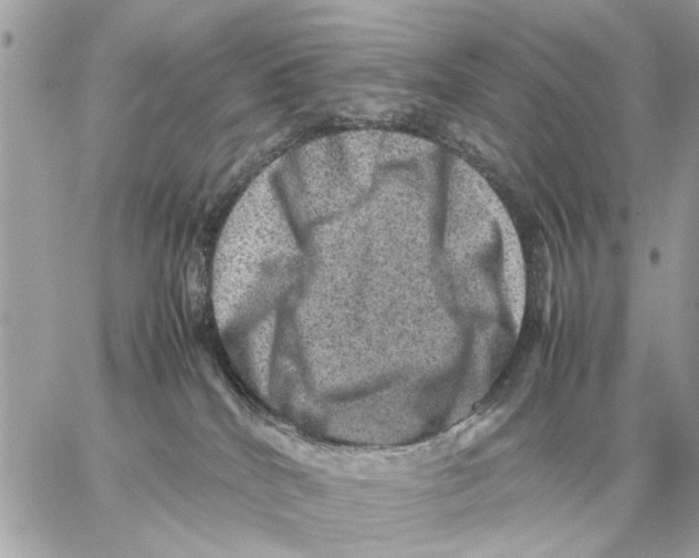 X0000059070040200511041806