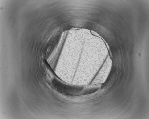 X0000059070044200511041806