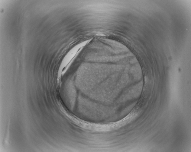 X0000059070048200511041806