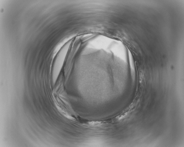 X0000059070052200511041805