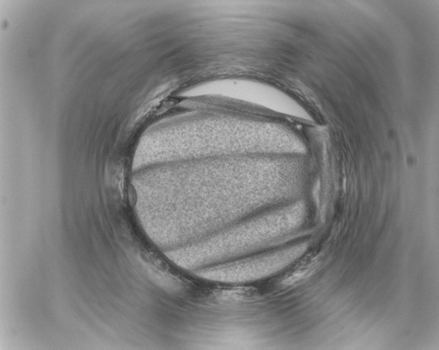 X0000059070072200511041805