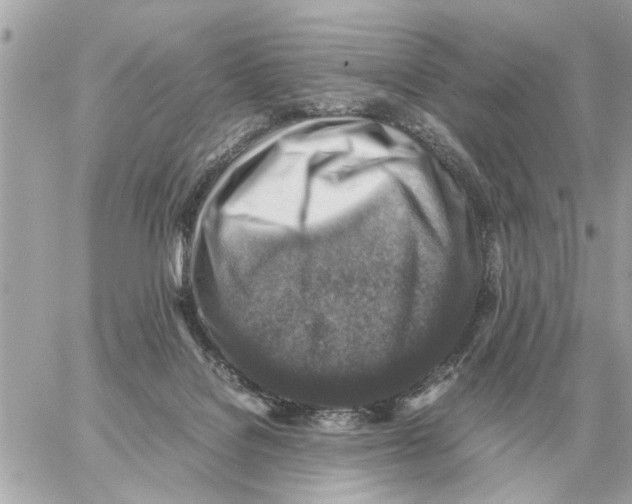 X0000059070076200511041805