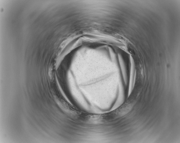 X0000059070088200511041806