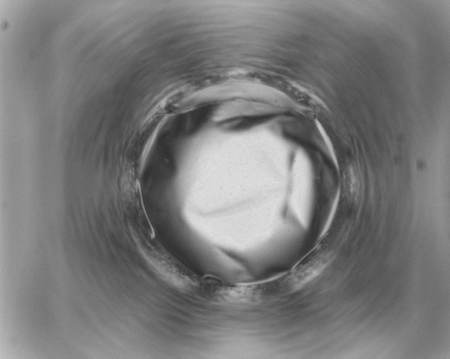X0000059070092200511041806
