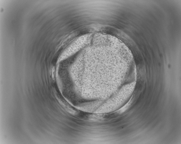 X0000059070094200511041806