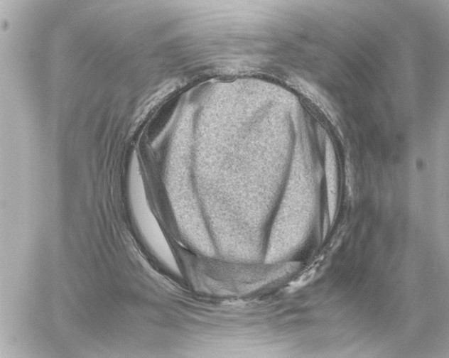 X0000059070105200511041805