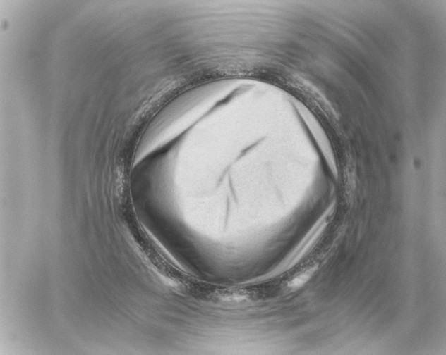 X0000059070113200511041805