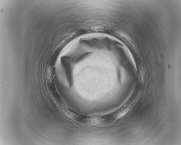 X0000059070121200511041805