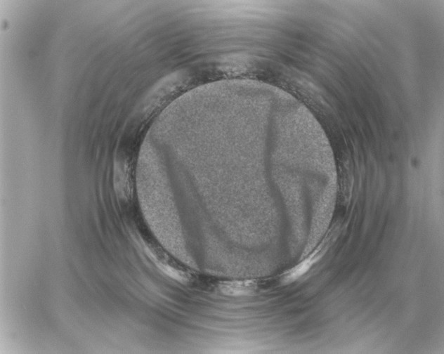 X0000059070136200511041804