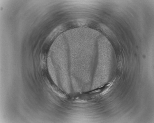 X0000059070140200511041804