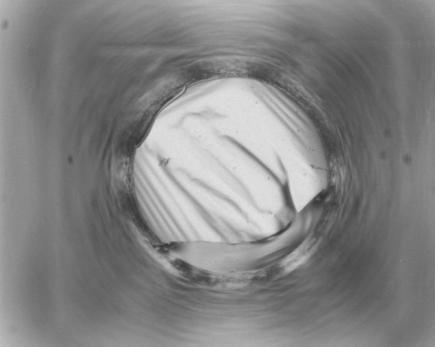 X0000059070141200511041804