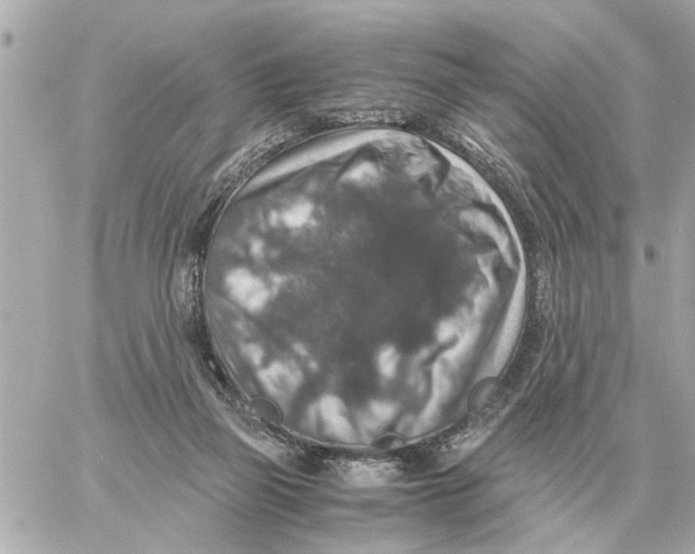 X0000059070165200511041804