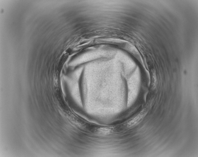 X0000059070176200511041804