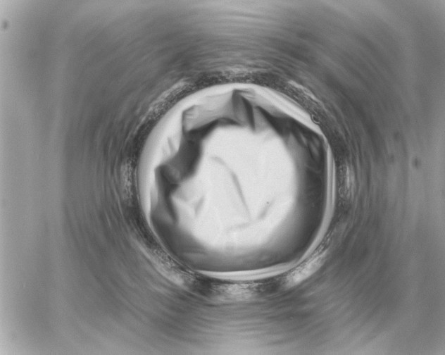 X0000059070184200511041804