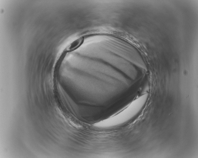 X0000059070200200511041803