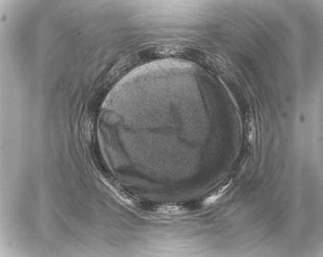 X0000059070227200511041803